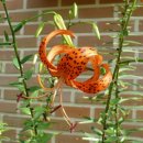 칠보중학교 이미지