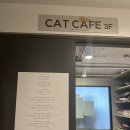 고양이사랑채 이미지