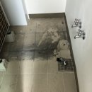 펠리시티3차 이미지