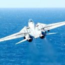 날으는고양이 이미지