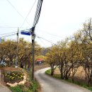 조산1길 이미지