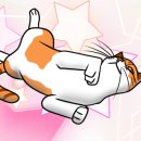 다몽그루밍 이미지