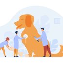 탑케어동물의료원 이미지