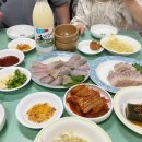 영산로 73번길 | 목포 현지인 맛집 덕인홍어집 내돈내산 솔직후기