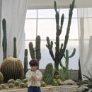 충장로350번길 | ​[고양/아이와 가볼만한곳] 가성비 최고! 미스터허브식물공방 키즈존 &amp; 동물체험 후기