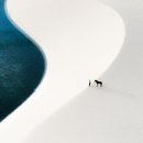 선명이네 이미지