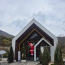 성지애견 | 애견동반 성지 파인40 동물체험 아기랑 방문 후기