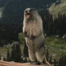 세천로7길 이미지