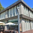 강아지숲 박물관 이미지