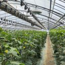 대안팜 주식회사 이미지