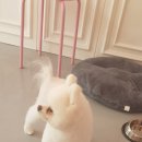 러블리멍 이미지