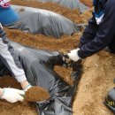 예진농장 이미지