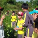 충암초등학교 이미지