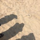 통일방앗간 이미지