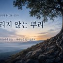 8월 3일(월) 흔들리지 않는 뿌리 이미지