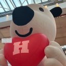 드라이데이 이미지