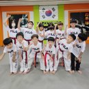 대성태권도장 이미지