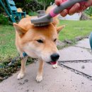 굿나잇 민박 이미지