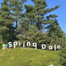 파스프링당구클럽 | 제주 골프여행 패키지 스프링데일CC 준비물