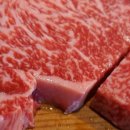 조선한우 이미지