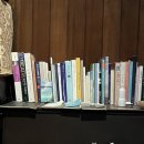 호랑이 주택 이미지