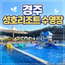 성호매점 | 경주 성호리조트 수영장 방문 후기, 운영시간, 기간, 가격 정보