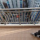 일동한신아파트 이미지