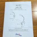색소폰 무선 마이크 사운드플러스 국산 리버브 효과 리뷰