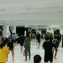 파라에스트라울산