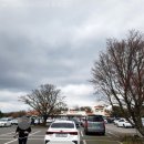 본적산 풍차조형물 | 제주태교여행 에코랜드 후기 [제주가을,겨울여행]