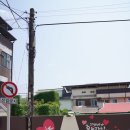 병아리소풍 이미지