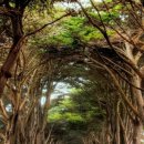 오색 안터 펜션 이미지