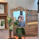 「해방의 밤」 북토크 | [북토크] 은유 작가 신간 《해방의 밤》 창비 북토크 🌃 ✨️