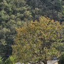 덕천1리경로당 네이버블로그