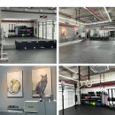 크로스핏 공구비구 이미지