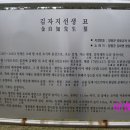 김여지 선생 묘 이미지