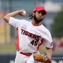 메디나인 이미지