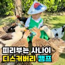 나트랑 가족여행 코스 아이와 알마리조트 디스커버리 캠프