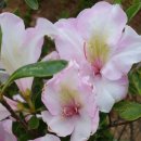 현강농장 이미지