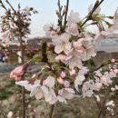 천지의집 이미지