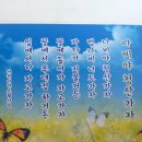 방랑캠퍼