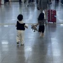 씨티카써비스 | 제주 아기랑 3박4일 여행 - 롯데렌터카, 논짓물식당, 그랜드 하얏트 제주 호캉스❤️