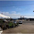 산방산식당 이미지