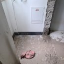 삼양세탁 이미지