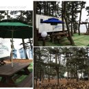 그림나래 힐링캠프 이미지