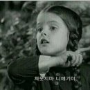 챔피언나이트클럽 이미지