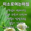 죽음보다 잔인한 치매 예방~~ 이미지