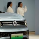 모닝 카카오 검색결과