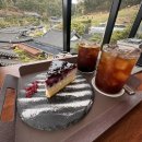 [대전 카페] 한옥 뷰에 반하고 대나무 숲에 취하다! 힐링 그 자체인 대형 카페 '하늘만큼' 🌿☕