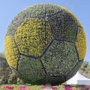 형형색색의바위들 | 태안세계튤립꽃박람회 축제 일정 주차 및 실시간 개화 후기 함께 갈만한 곳 추천